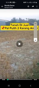 ukuran 8x16,50 di pal putih 2 karang anyar