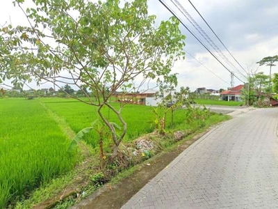 View Sawah Asri, Tanah Concat Dekat Kampus UGM dan UNY