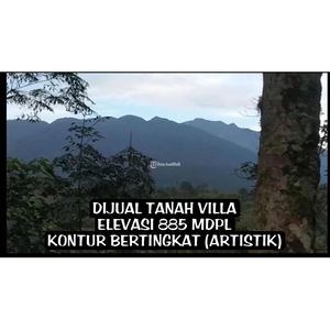 Edisi Turun Harga Jual Tanah Villa Luas 1 Hektar Elevasi 885 MDPL - Deli Serdang Sumatera Utara