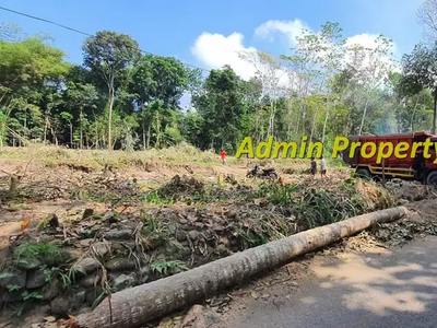 Pekarangan Strategis Mangku Aspal di Manisrenggo, Klaten