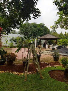 Rumah Kebun Mewah Dalam Komplek Area Bintaro Harga Nego Habis