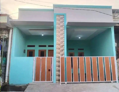 Super Menarik! Rumah Huni Warna Hijau Tosca Cerah