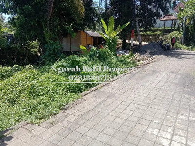 Dijual Murah Luas Tanah 5 Are View Sawah Lingkungan Villa di Ubud