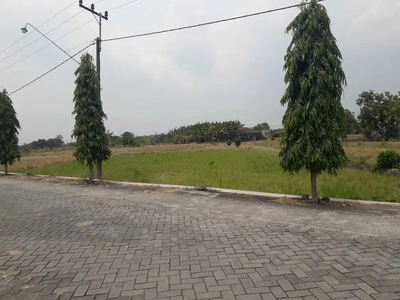 DIJUAL MURAH TANAH KEDUNG SEKAR SELATAN GRESIK