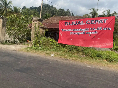 Dijual Tanah Prospek Cerah di Pupuan Bali