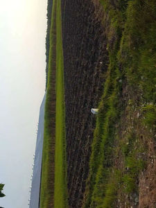 Jual MURAH Tanah Industri Dekat Tol Di Jombang