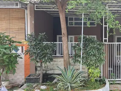 RUMAH MINIMALIS MURAH LOKASI TULANGAN SIDOARJO