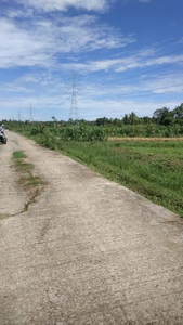 Sawah Murah Dekat Bandara YIA