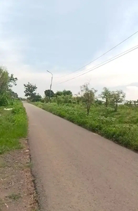 Tambak Murah Di Desa Kalisogo Jabon Sidoarjo
