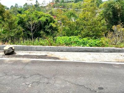 Tanah Area Kebun Teh & Jembatan Kaca Kemuning Karanganyar