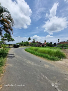 Tanah Bagus Di Jalan Besar View Sawah Dijual, area Ubud