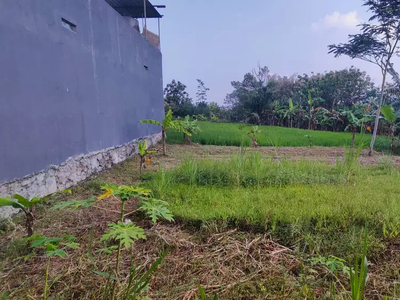 Tanah Belakang Taman Merjosari Cocok Untuk Rumah Kost