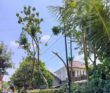 Tanah Dijual Strategis Dekat Pasar Kolombo Jl Kaliurang