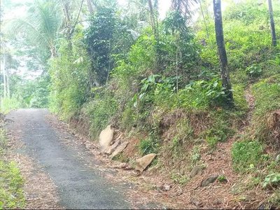 Tanah/kebun cocok buat tempat hunian