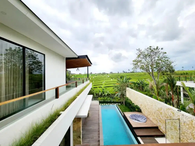 Villa view sawah tumbak bayuh mengwi