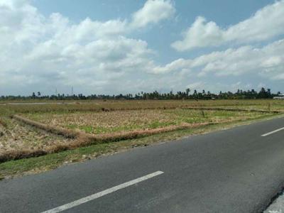 Di Jual Tanah Rice field View dekat pantai Yeh Gangga Tabanan