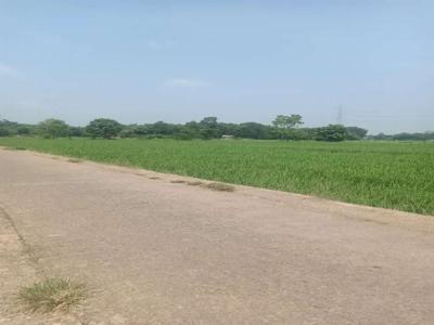 Stanah sawah cocok untuk kolam dan rumsh