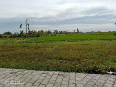 Dijual Tanah langka view sawah di Munggu