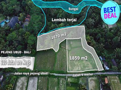 Dijual Tanah los sungai lembah di Ubud Pejeng