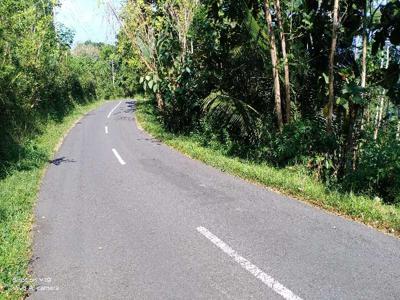 tanah murah,pinggir jalan propinsi.view istimewa