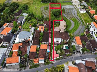 Dijual Tanah view sawah di Bumbak Umalas