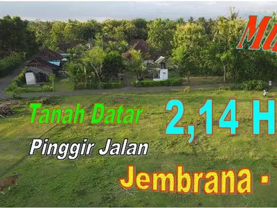 Dekat Pantai Cupel 21.400 m2 Tanah Murah di Jembrana