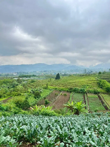 Dijual CEPAT Tanah Dengan Super View di Desa Bulukerto, Kota Batu