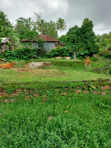 DIJUAL TANAH 6 ARE MURAH DI TABANAN BALI SIAP BANGUN TANAH DATAR