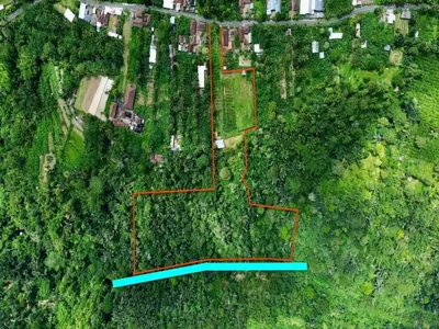 Dijual tanah murah view lembah di Payangan Ubud