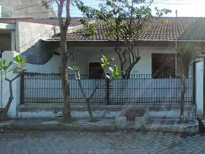 Disewakan Rumah Sutorejo