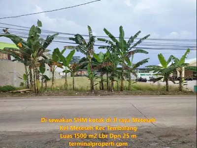 Disewakan Tanah 1.690 m2 LD 25 m di Jl raya Meteseh Kec Tembalang
