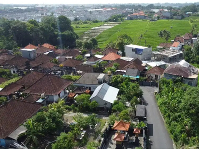 Disewakan Tanah Premium Tumbah Bayuh. Canggu. Bali.