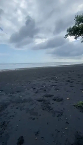 Lahan tepi pantai pekutatan