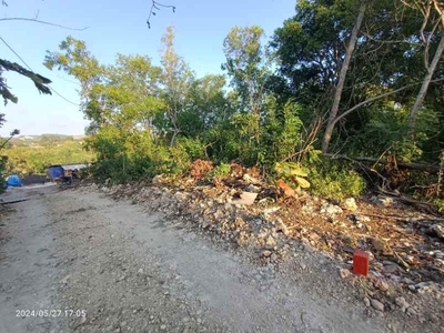 Land For Leasehold Only 500 Meters To Padang Padang Beach