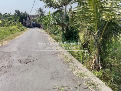 Land For Sale Murah Luas 1600 m2 Lingkungan Villa di Ubud Bali