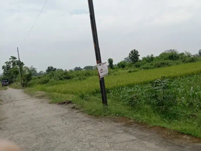 MURAH...Tanah Pekarangan Klaten Kota