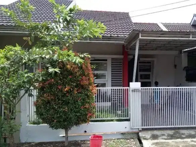 Rumah Minimalis Cluster Adipura Summarecon