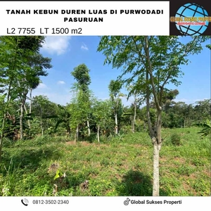 Tanah Kebun Durian Subur Dekat Jalan Raya Utama Purwodadi Pasuruan