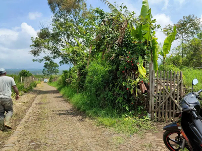 Tanah Luas Murah Cocok Untuk Villa atau Hotel Lokasi di Kota Batu