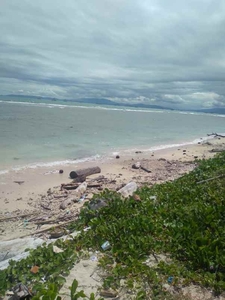 Tanah Pantai Di Lampung Selatan Luas 10 Hektar Legalitas Shm