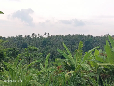 Tanah view jungle dekat ke Pantai Kelecung Bali