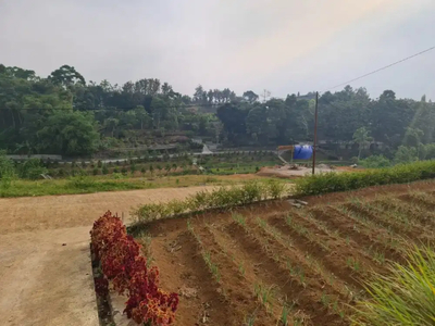 Yuk Inpestasi tanah murah SHM di puncak Bogor
