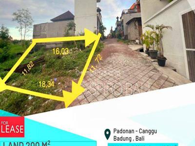 For Leasehold And Sale 200 Sqm Yellow Zone Land At Padonan Canggu