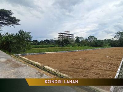 Barat Kampus UTY Tanah Murah Dalam Ringroad Sleman Yogyakarta