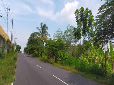 Jual Tanah Pekarangan 2,6 Hektar Sentolo Kulon Progo