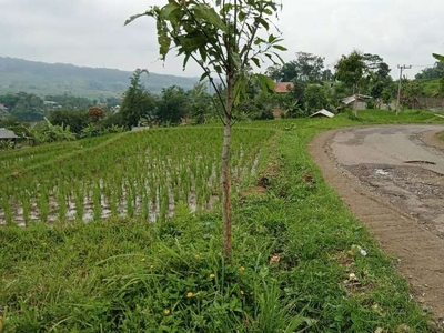 Tanah Sawah Pinggir Jalan Pemandangan Bagus di Purwakarta Dijual Murah