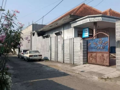 JUAL / SEWA rumah di jantung kota jember