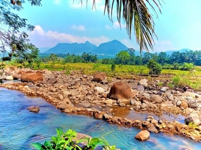 Tanah Murah di Kawasan Wisata Alam Puncak dua Bogor