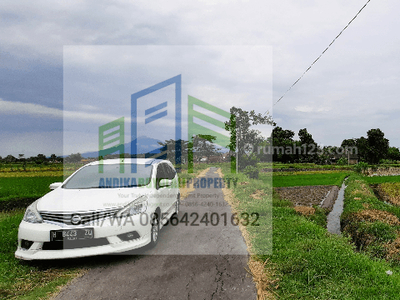 Tanah sawah dengan air melimpah di pengging Banyudono Boyolali