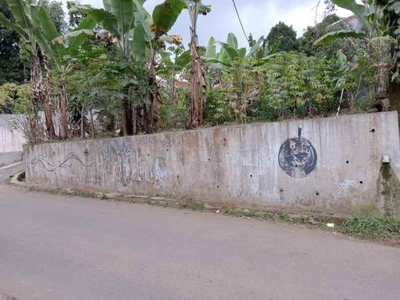 196 M2 Tanah Kebun Komersil Dekat Jalan Raya Ciater Subang